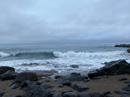 Oregon Coast