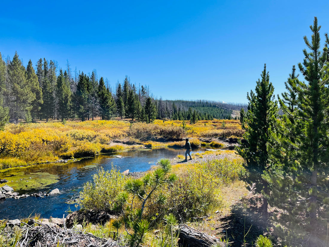 Stream in the mountains