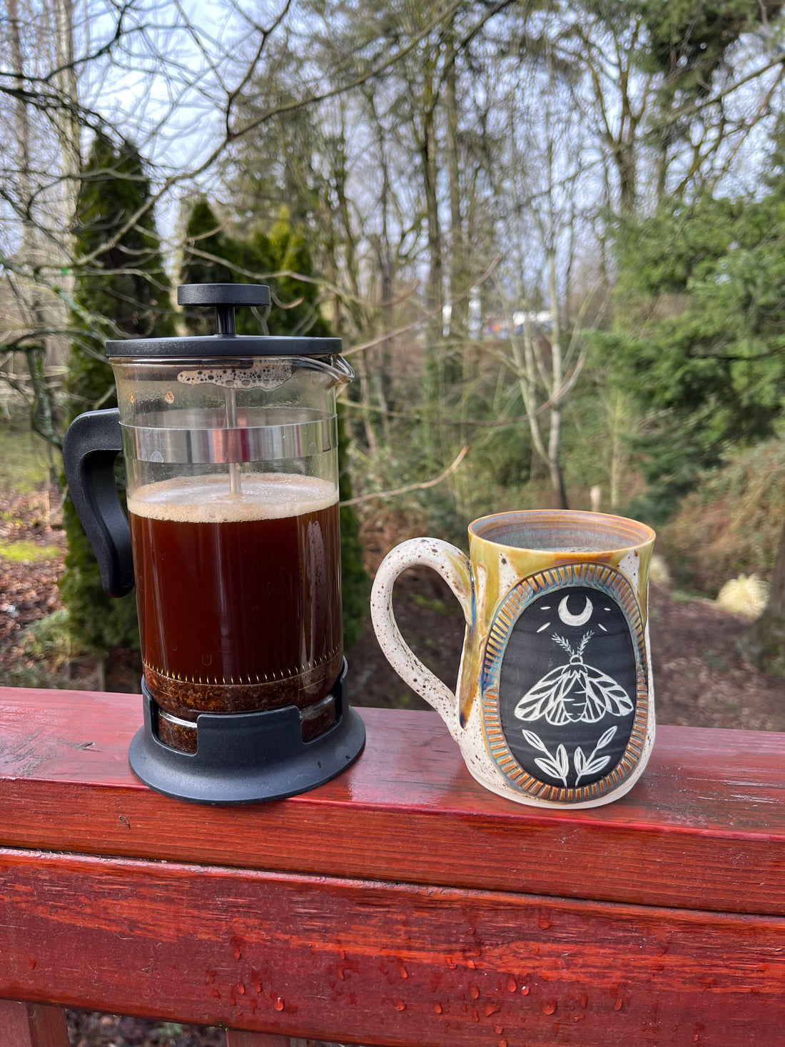 Brewing Adventure: How to Use a French Press